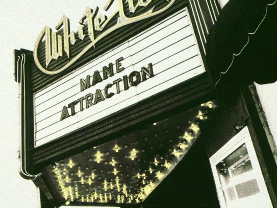  Mane Attraction in Winchester, VA | Enhance Your Lifestyle with the Best Hair Care Services